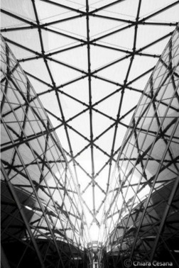 12002142_1053891431297069_2386468533352483264_n.jpg