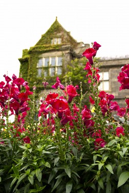 Irlanda (61).jpg