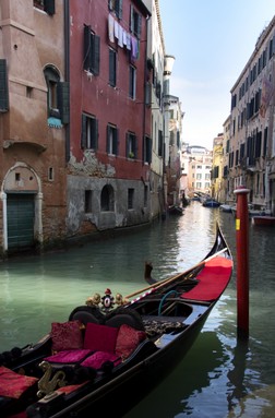 a IMG_5681.jpg